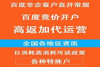 百度推广公司案例分析：精准定位，助力企业精准营销